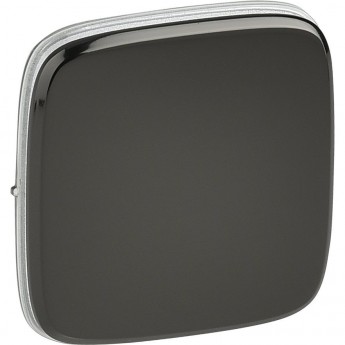 Лицевая панель LEGRAND Valena ALLURE для выключателей одноклавишных черная сталь Лицевая панель LEGRAND Valena ALLURE для выключателей одноклавишных черная сталь