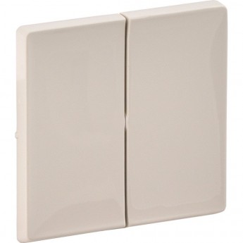 Лицевая панель LEGRAND Valena LIFE для двухклавишного выключателя слоновая кость Лицевая панель LEGRAND Valena LIFE для двухклавишного выключателя слоновая кость